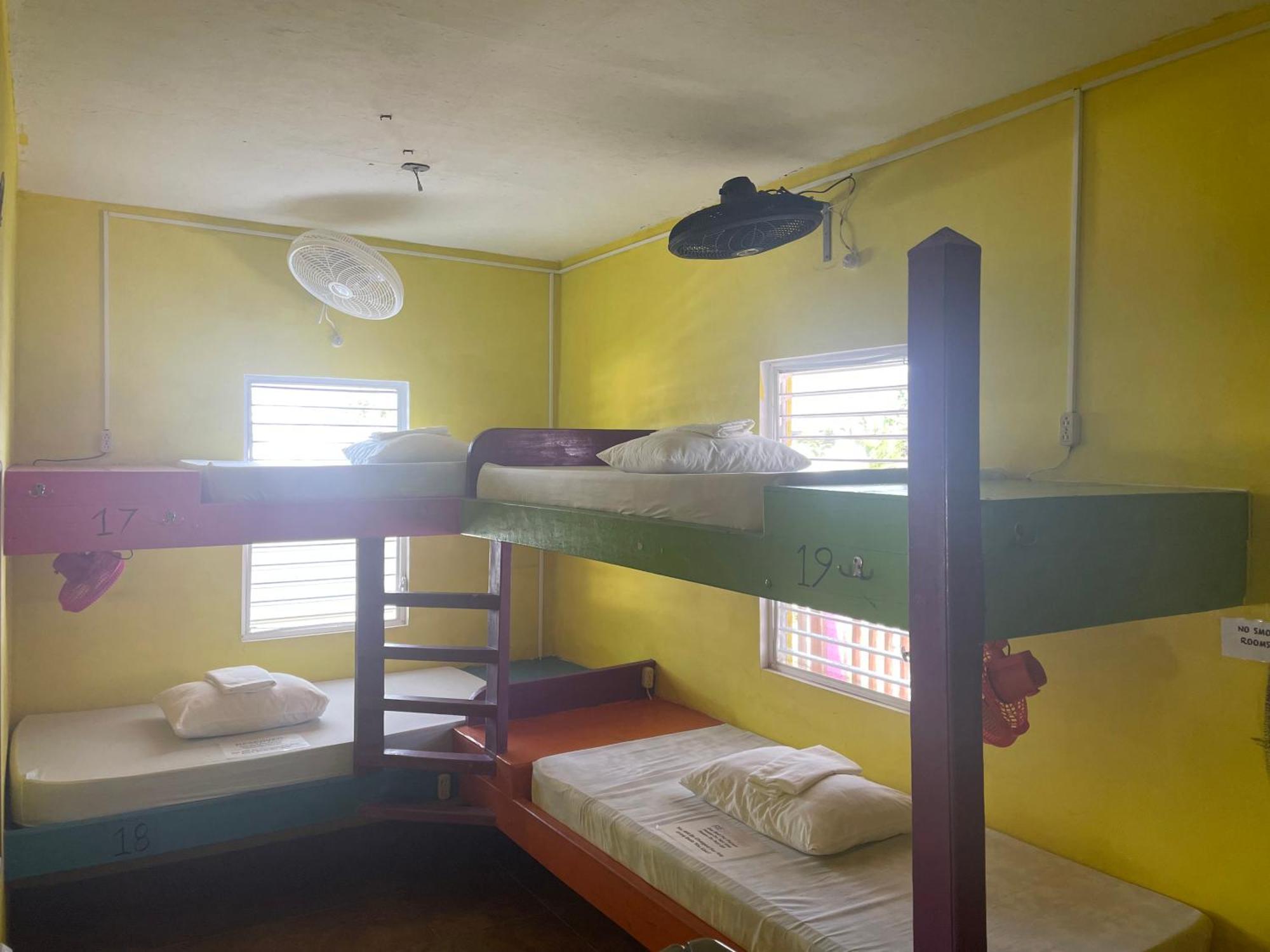 Travellers Palm Backpackers Hostel Caye Caulker Εξωτερικό φωτογραφία