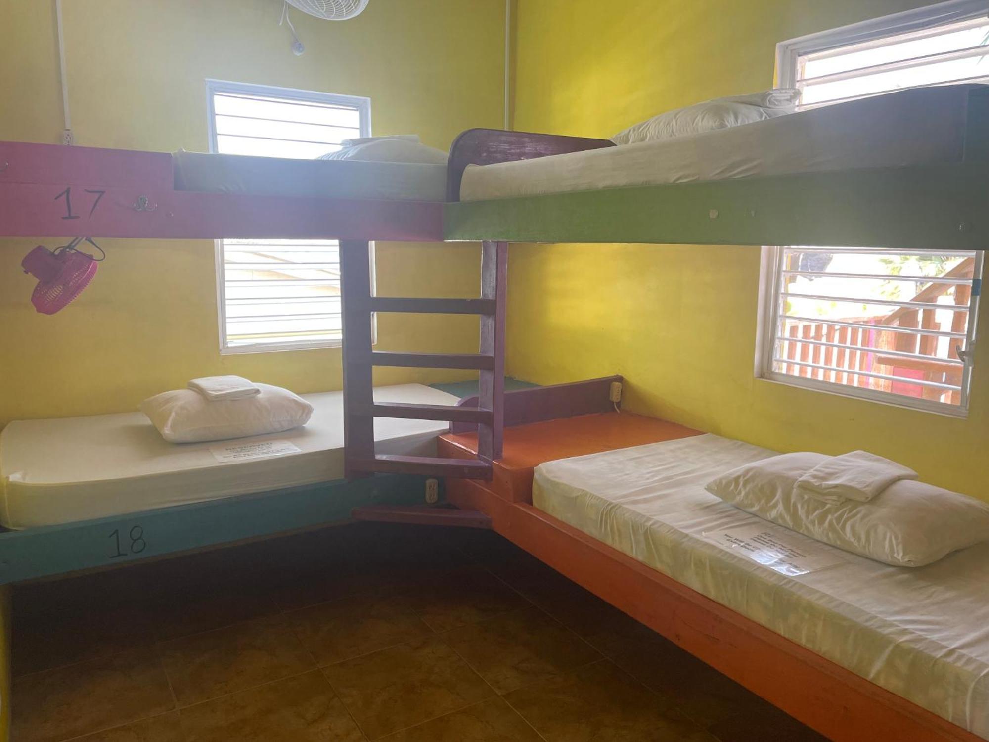 Travellers Palm Backpackers Hostel Caye Caulker Εξωτερικό φωτογραφία