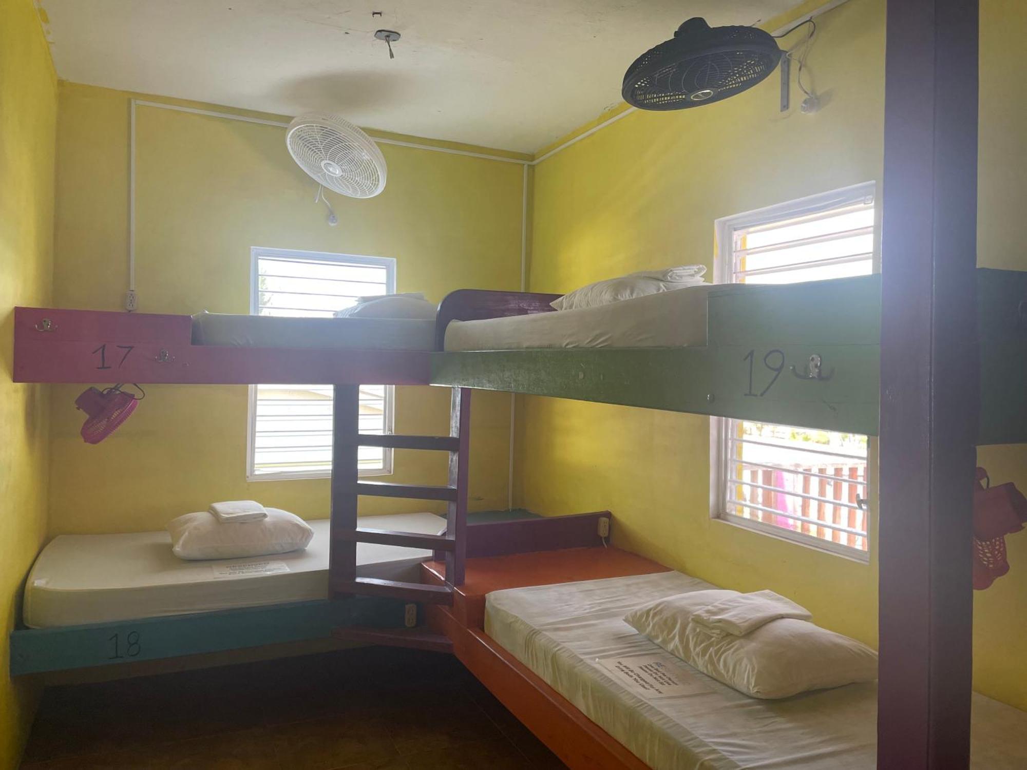 Travellers Palm Backpackers Hostel Caye Caulker Εξωτερικό φωτογραφία